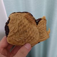 Taiyaki at Taiyaki Hiiragi in Tokyo