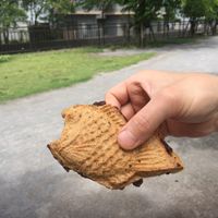 Poor fish lost part of his face ;( at Taiyaki Hiiragi in Tokyo