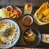 Udon noodles and veggie tempura 天婦羅 NT$458 at Chéng ShíXīnTiān Mǔ - Chensveg  澄石新天畝 in Shuili