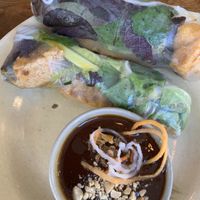 Vegan summer rolls  at Chi Thu - Morassistrasse in Munich