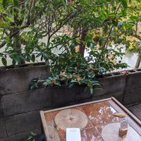 The view at Vermillion - cafe. in Kyoto