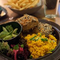 "No Feathers" at no bones in Krakow