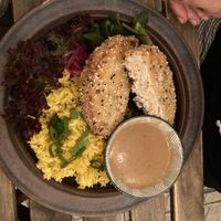 No-feathers  at no bones in Krakow