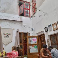  at no bones in Krakow