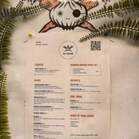   at no bones in Krakow