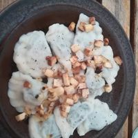 Vegan pierogi at no bones in Krakow