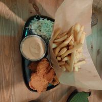 Oyster mushrooms at no bones in Krakow