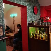  at no bones in Krakow