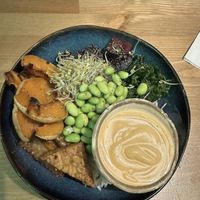   at no bones in Krakow