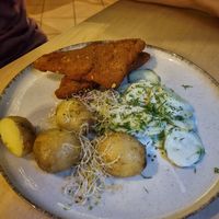 Polish dish at no bones in Krakow