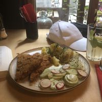   at no bones in Krakow