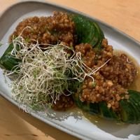   at no bones in Krakow