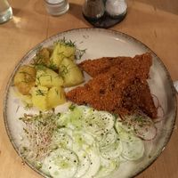  at no bones in Krakow