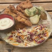   at no bones in Krakow