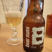  at no bones in Krakow