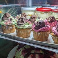  at no bones in Krakow