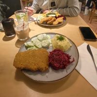   at no bones in Krakow