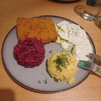  at no bones in Krakow