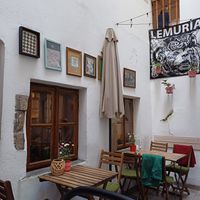  at no bones in Krakow