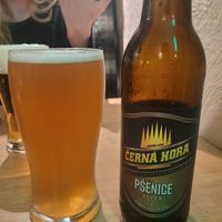  at no bones in Krakow