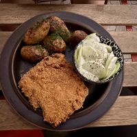   at no bones in Krakow