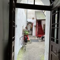 Vibe   at no bones in Krakow