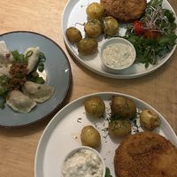   at no bones in Krakow