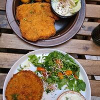  at no bones in Krakow