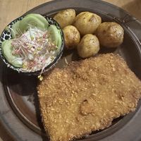   at no bones in Krakow