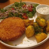  at no bones in Krakow