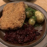   at no bones in Krakow