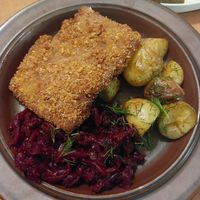  at no bones in Krakow