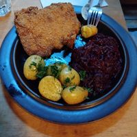  at no bones in Krakow