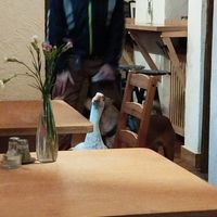  at no bones in Krakow