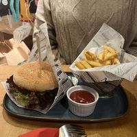   at no bones in Krakow