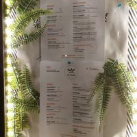  at no bones in Krakow