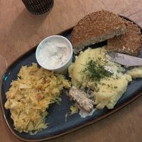   at no bones in Krakow