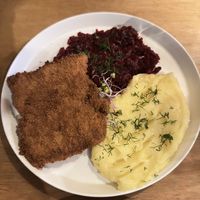   at no bones in Krakow