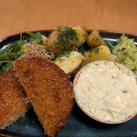  at no bones in Krakow