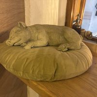   at no bones in Krakow