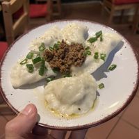 Seasonal Perogis   at no bones in Krakow