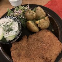   at no bones in Krakow