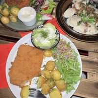   at no bones in Krakow