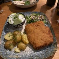 “Pork” chop, cream cucumber salad and potatos  at no bones in Krakow