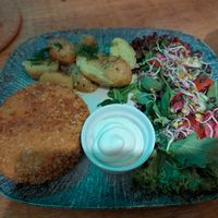 "no chicken" with a summer salad and potatoes at no bones in Krakow