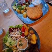  at no bones in Krakow