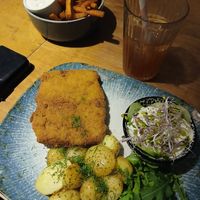  at no bones in Krakow