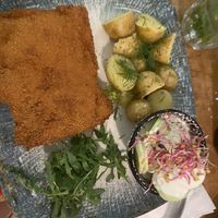   at no bones in Krakow