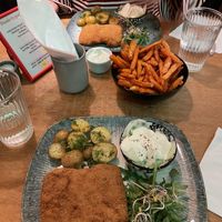   at no bones in Krakow