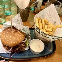   at no bones in Krakow